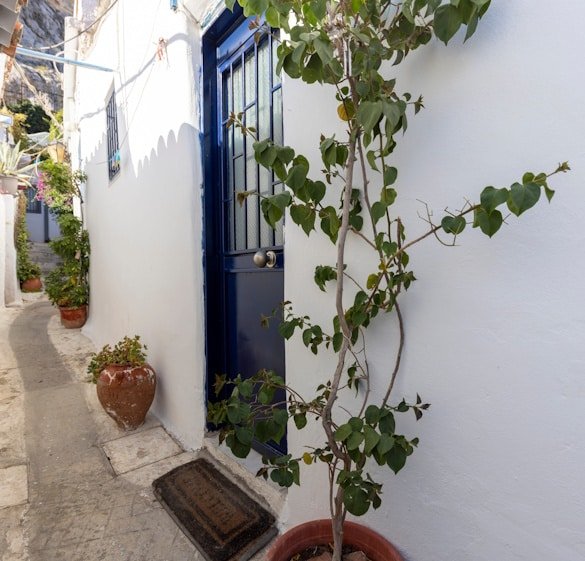 СОВЕТ ОТ ПРОФИ